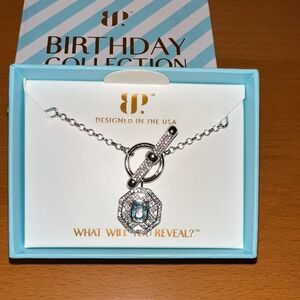 Bomb party March 2026 necklace.  Rhodium